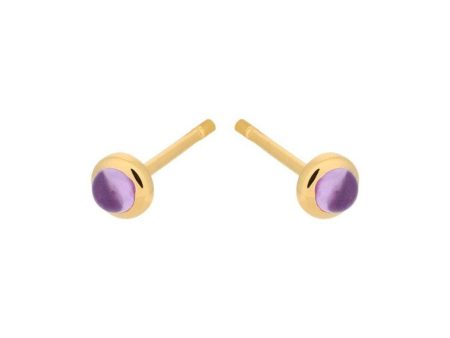 Shine Purple Earsticks - Gold For Discount