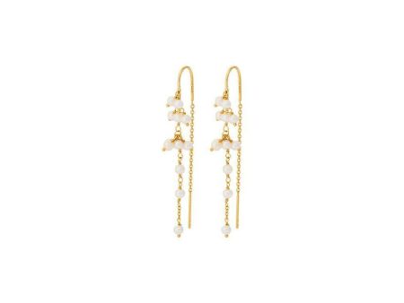 Ocean Treasure Earchains size - Gold Online Hot Sale