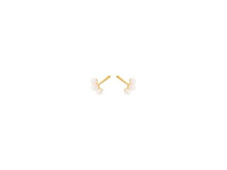 Ocean Pearl Earsticks size 6 - Gold Online Hot Sale