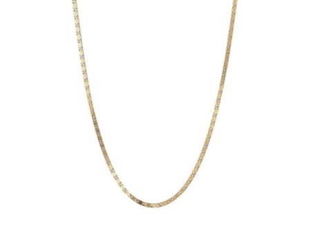 Envision S-Chain Necklace - Gold Plated Online Hot Sale