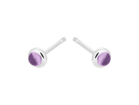 Shine Purple Earsticks - Silver on Sale